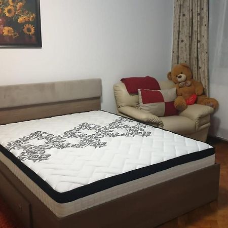 콘스탄차 Apartamentdecebal 아파트 외부 사진